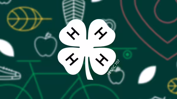 4-H Brand assets-with White 4-H clover on top