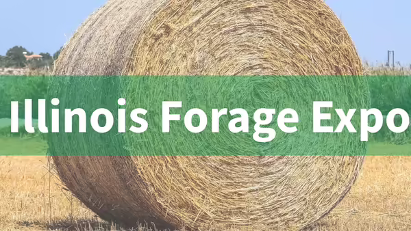 round bale of hay in field