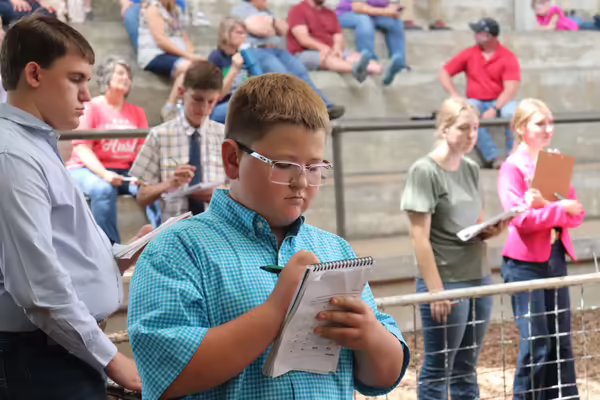 Youth recording answers at the contest.