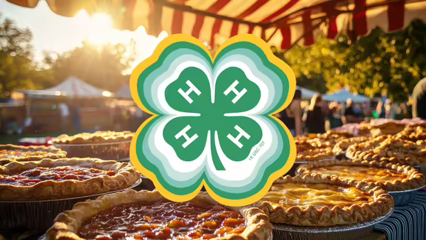 Different kinds of pies under awning with 4-H clover