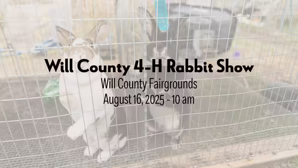 Will County 4-H Rabbit Show Will County Fairgrounds August 16, 2025 10 am