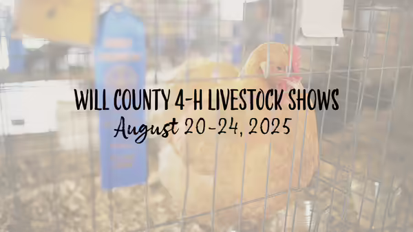 Will County 4- H Livestock Shows August 20-24, 2025