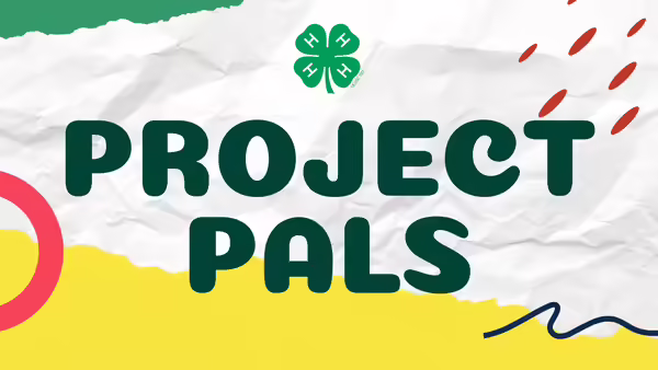 wrinkled paper background with multicolored artistic elements and text "Project Pals" and 4-H clover logo