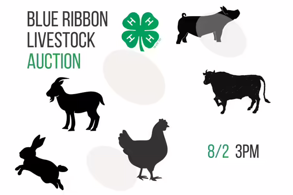 text blue ribbon livestock auction with animals