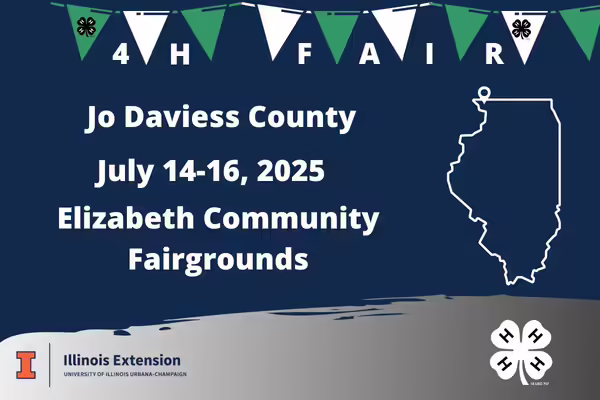 green and white flags, blue background and outline of state of illinois