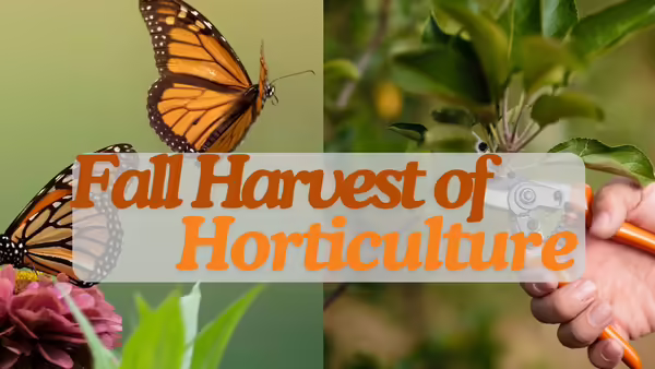 Fall Harvest of Horticulture
