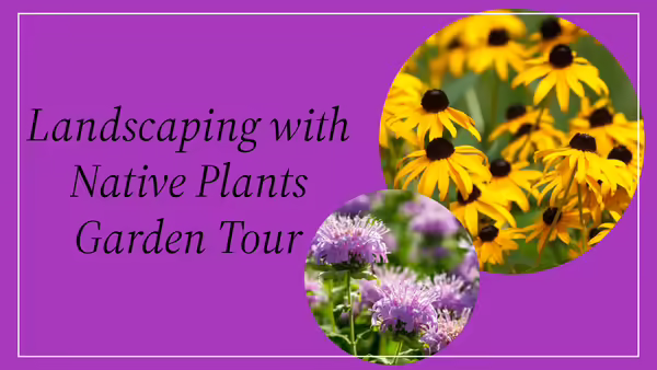 Black-eyed susan and beebalm on purple background with "Landscaping with Native Plant Garden Tour"