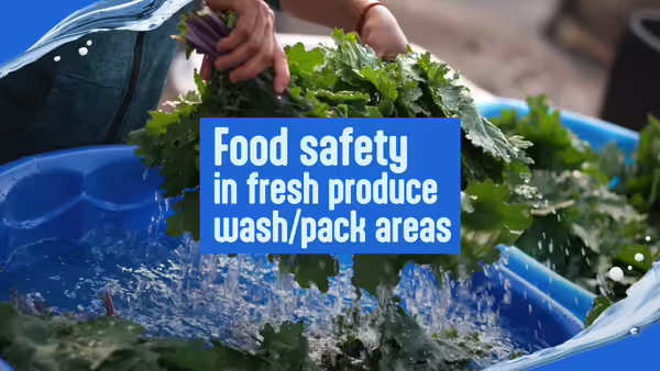 Food safety webinar