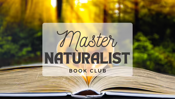 Book with nature background