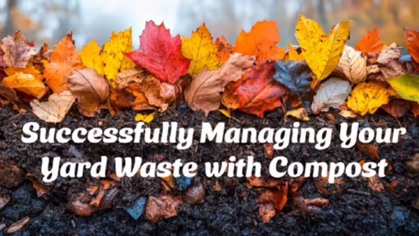 Leaves with compost