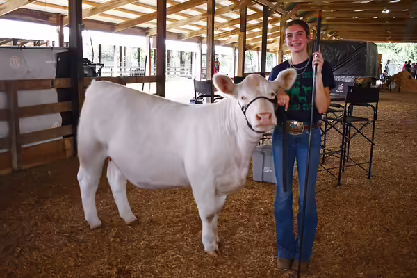 A 4-H'er posing with her white cow