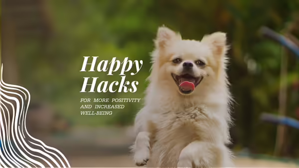 A Pomeranian with edge details