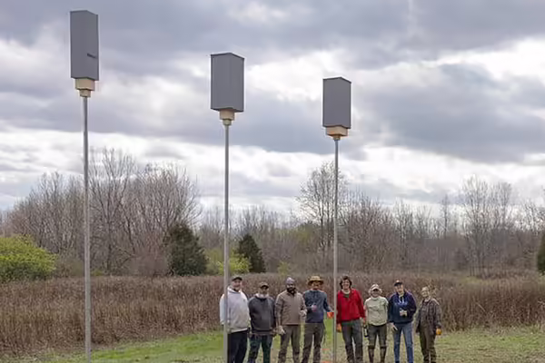 A group of people outside standing under elevated bat boxes on poles