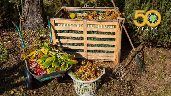 compost bin with wheelbarrow and basket full of plant debris and old produce
