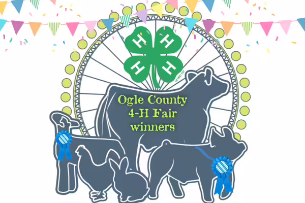 Graphic of livestock with Ogle County 4-H Fair winners on it