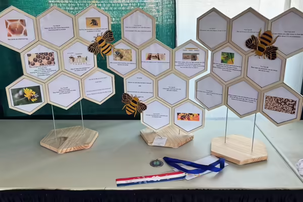 4-H project laid out on the table