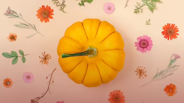 A pumpkin surrounded by pressed flowers on a nude colored background.