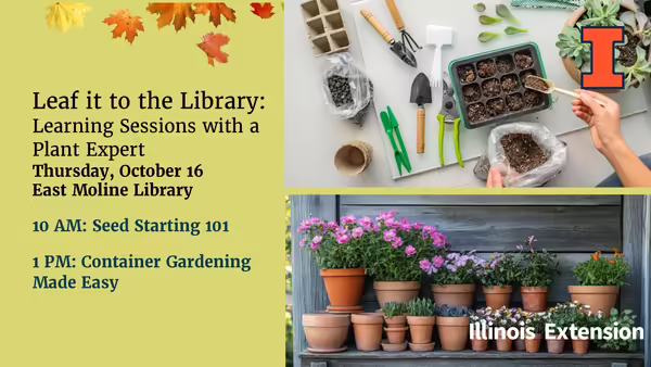 Seed starting and container gardening