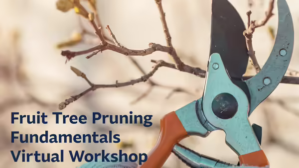Pruning tool with tree branch