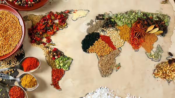 A global map made with rice multicolored rice and beans.