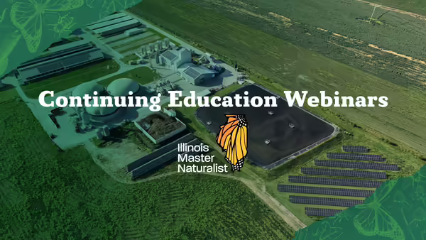 continuing education webinar