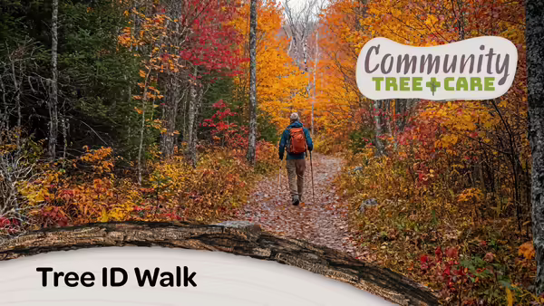 Hiking trail with fall colors
