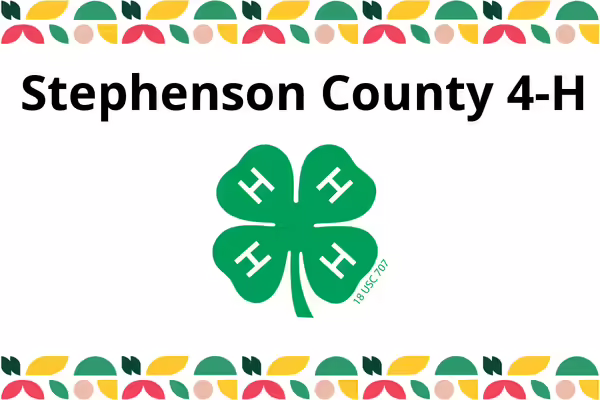 multi colored shapes on top and bottom of white background with a green 4-H clover in the center