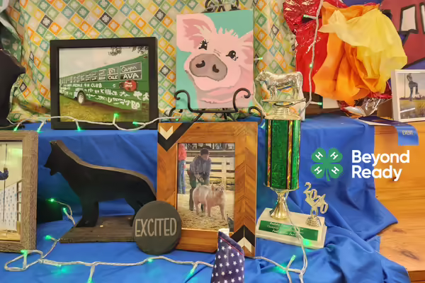 A selection of 4-H projects are displayed at the Kankakee County 4-H Fair