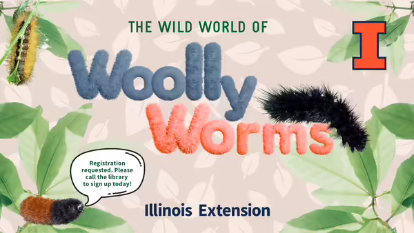 caterpillars climbing on leaves. The Wild World of Woolly Worms. Registration requested. Please call the library to sign up today!Illinois Extension. Orange and blue block I. 
