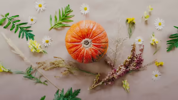 A single small pumpkin is centered on a brown background, surrounded by various pressed flowers and leaves.