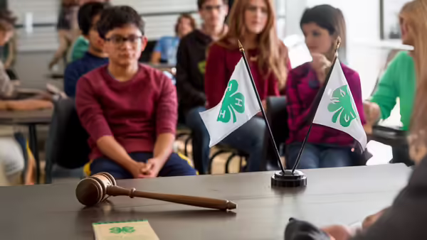A wooden gavel rests on a table in front of two small flags with a 4-H clover, with people seated in the background.