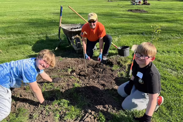 people planting a tree