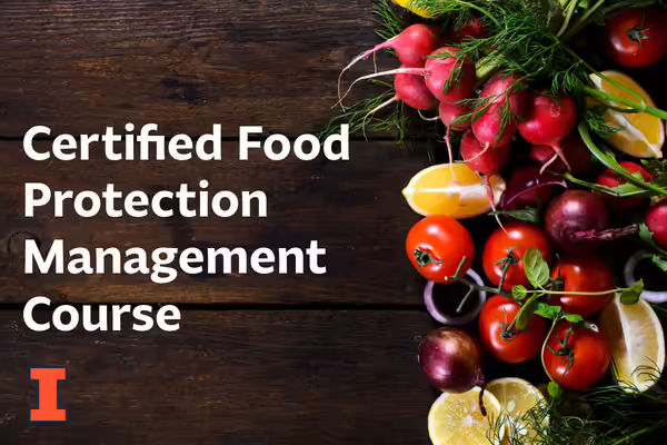 variety of fruits and vegetables on wooden board