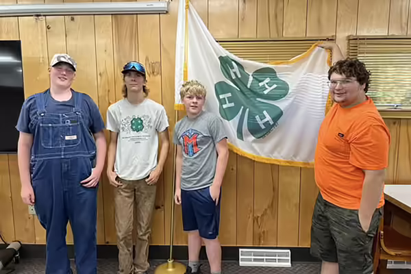 group of four boys