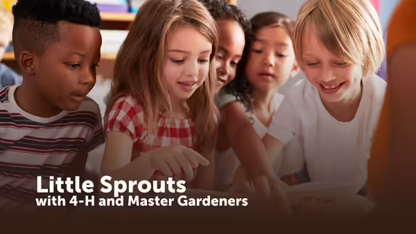 Little Sprouts with 4-H and Master Gardeners, text shown over pictue of young children