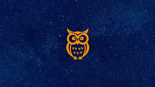 An owl sitting in the starry sky.