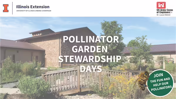 A pollinator garden surrounding a wooden bridge in front of a brick building.