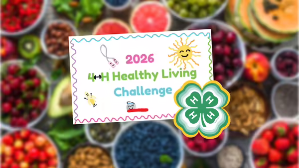 2026 Healthy Living Challenge