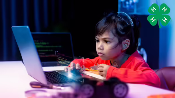 Coding
