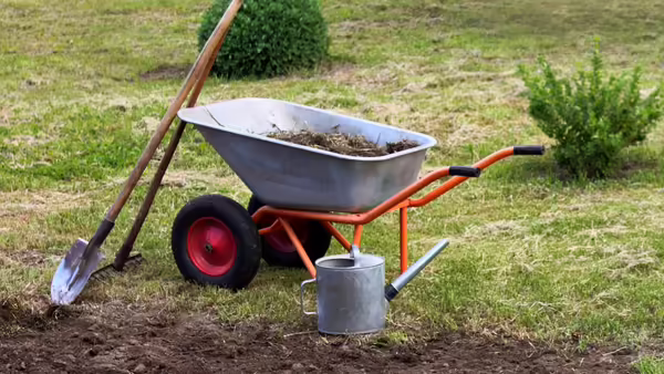 Wheelbarrow, shovel and watering can in green grass