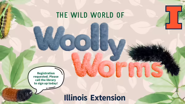 woolly worms climbing on leaves. The Wild World of Woolly Worms. orange and blue block I. Registration Requested. Please call the library at 618 524-4312 to sign up today! Illinois Extension.