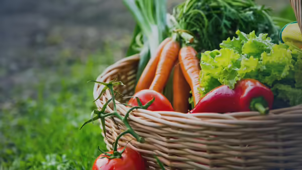 A basket of vegetables.