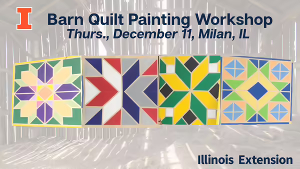 Examples of the four quilt designs they can choose from