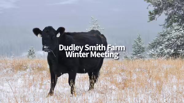black cow in snowy field with words Dudley Smith Farm Winter Meeting
