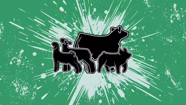 Silhouette of show quality sheep, goat, swine, and cattle.