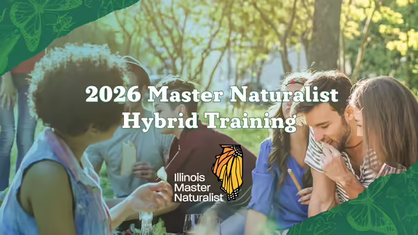 A group of people enjoying food in the forest.