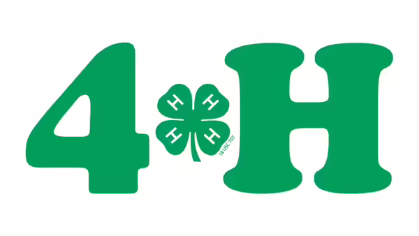 4-H with clover in the middle