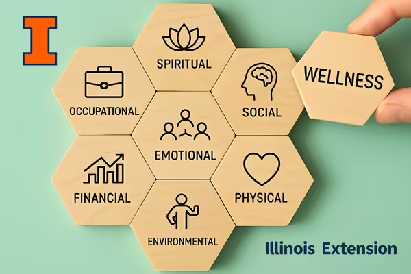 8 dimensions of wellness puzzle pieces