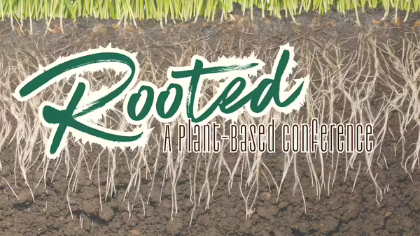 grassroots in soil with word "Rooted"