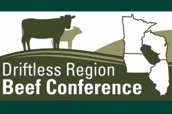 Cow and calf standing on hill beside states that are part of the driftless region 